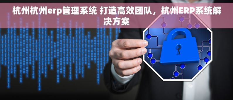 杭州杭州erp管理系统 打造高效团队，杭州ERP系统解决方案