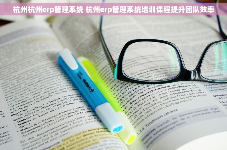 杭州杭州erp管理系统 杭州erp管理系统培训课程提升团队效率