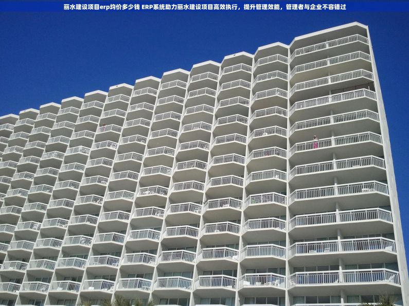 丽水建设项目erp均价多少钱 ERP系统助力丽水建设项目高效执行，提升管理效能，管理者与企业不容错过