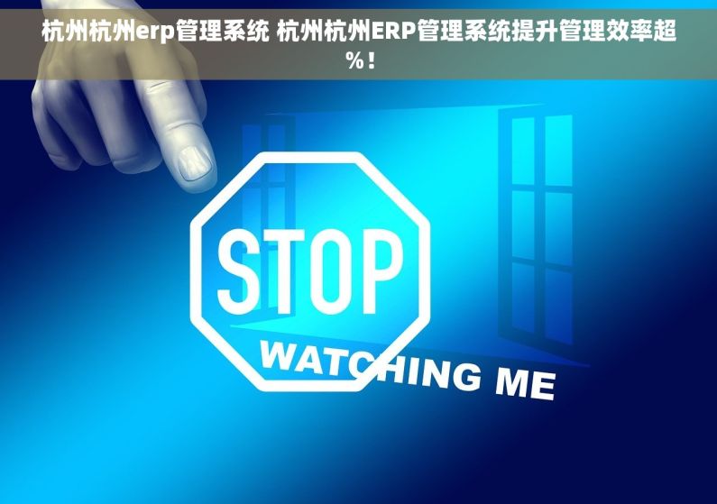 杭州杭州erp管理系统 杭州杭州ERP管理系统提升管理效率超%！
