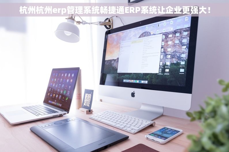 杭州杭州erp管理系统畅捷通ERP系统让企业更强大！
