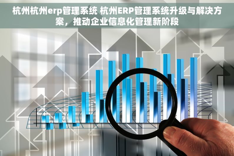 杭州杭州erp管理系统 杭州ERP管理系统升级与解决方案，推动企业信息化管理新阶段