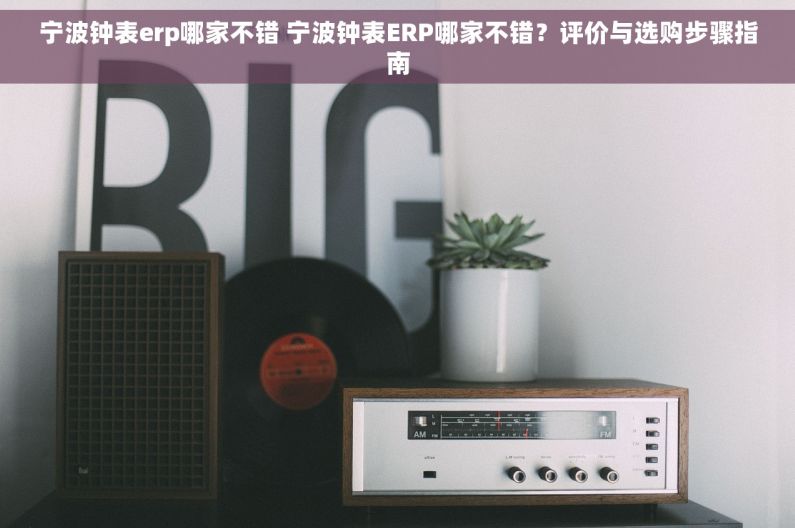 宁波钟表erp哪家不错 宁波钟表ERP哪家不错？评价与选购步骤指南