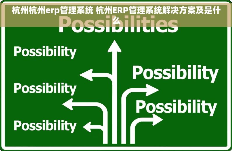 杭州杭州erp管理系统 杭州ERP管理系统解决方案及是什么