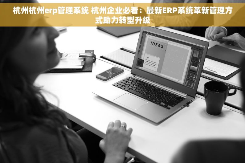 杭州杭州erp管理系统 杭州企业必看：最新ERP系统革新管理方式助力转型升级