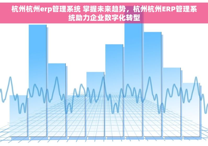 杭州杭州erp管理系统 掌握未来趋势，杭州杭州ERP管理系统助力企业数字化转型