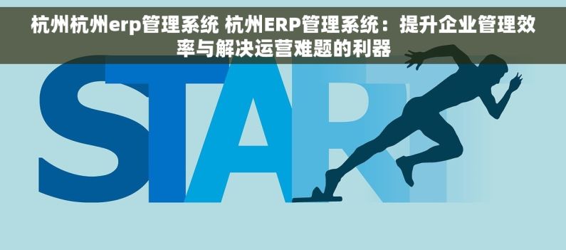 杭州杭州erp管理系统 杭州ERP管理系统：提升企业管理效率与解决运营难题的利器