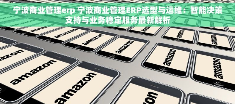 宁波商业管理erp 宁波商业管理ERP选型与运维：智能决策支持与业务稳定服务最新解析