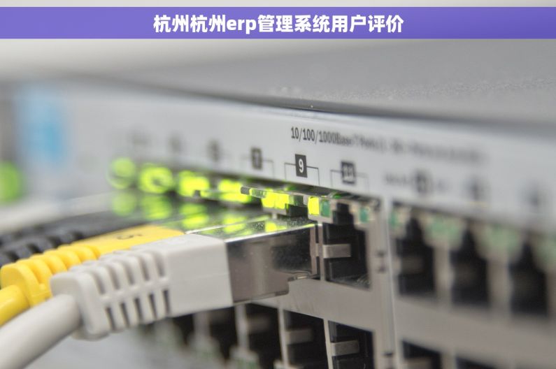 杭州杭州erp管理系统用户评价