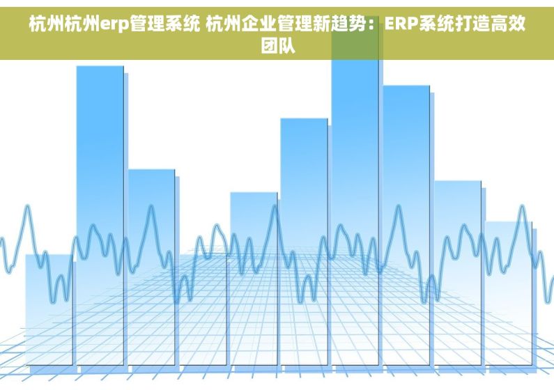 杭州杭州erp管理系统 杭州企业管理新趋势：ERP系统打造高效团队