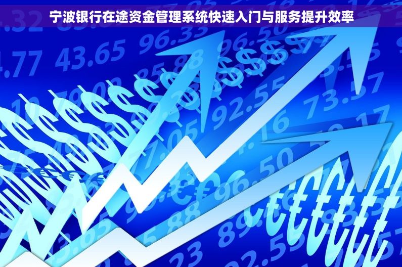 宁波银行在途资金管理系统快速入门与服务提升效率
