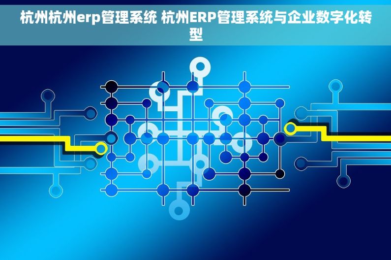 杭州杭州erp管理系统 杭州ERP管理系统与企业数字化转型