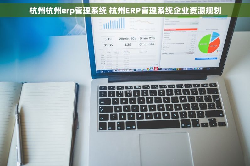 杭州杭州erp管理系统 杭州ERP管理系统企业资源规划