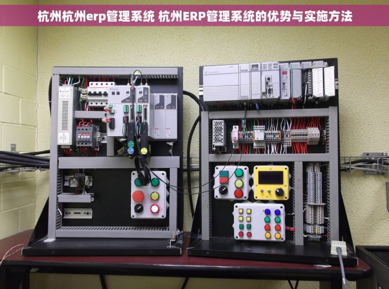 杭州杭州erp管理系统 杭州ERP管理系统的优势与实施方法