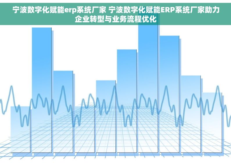宁波数字化赋能erp系统厂家 宁波数字化赋能ERP系统厂家助力企业转型与业务流程优化