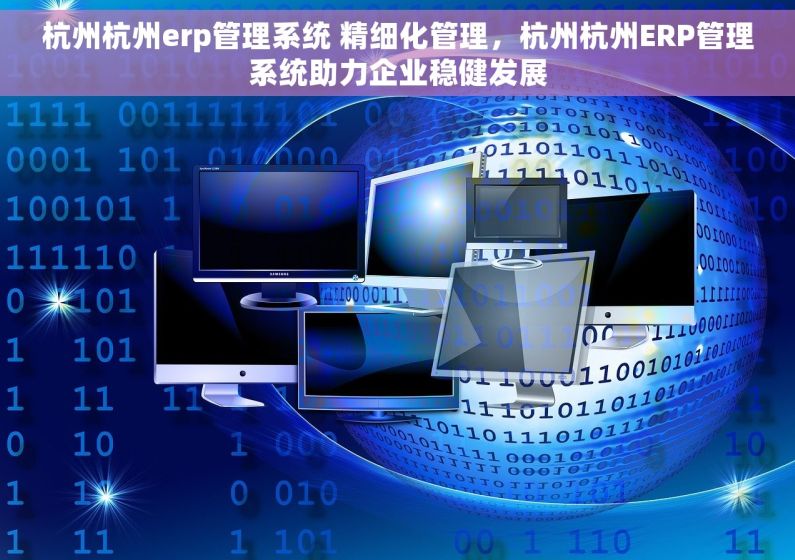 杭州杭州erp管理系统 精细化管理，杭州杭州ERP管理系统助力企业稳健发展