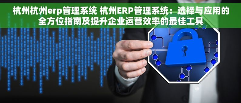 杭州杭州erp管理系统 杭州ERP管理系统：选择与应用的全方位指南及提升企业运营效率的最佳工具