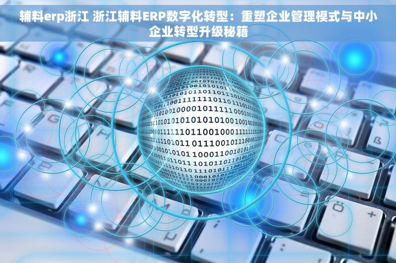 辅料erp浙江 浙江辅料ERP数字化转型：重塑企业管理模式与中小企业转型升级秘籍