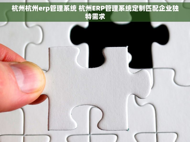 杭州杭州erp管理系统 杭州ERP管理系统定制匹配企业独特需求