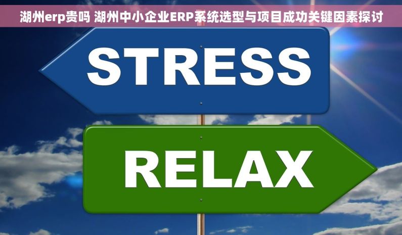 湖州erp贵吗 湖州中小企业ERP系统选型与项目成功关键因素探讨