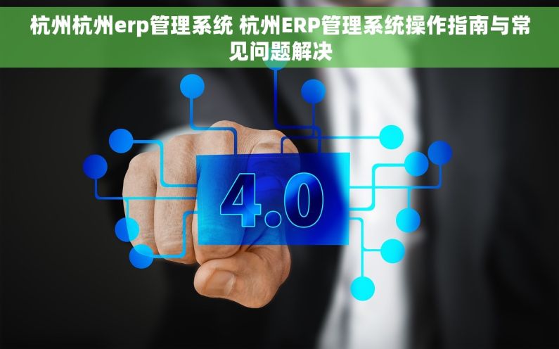 杭州杭州erp管理系统 杭州ERP管理系统操作指南与常见问题解决