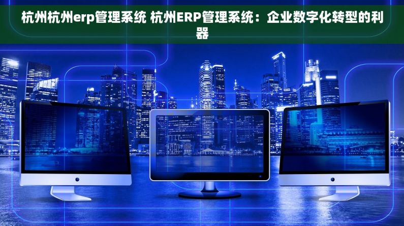 杭州杭州erp管理系统 杭州ERP管理系统：企业数字化转型的利器