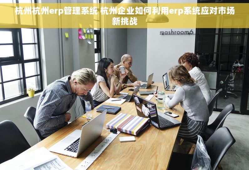 杭州杭州erp管理系统 杭州企业如何利用erp系统应对市场新挑战