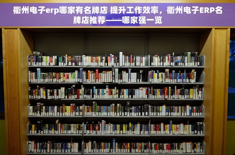 衢州电子erp哪家有名牌店 提升工作效率，衢州电子ERP名牌店推荐——哪家强一览