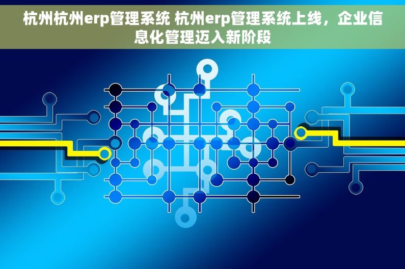 杭州杭州erp管理系统 杭州erp管理系统上线，企业信息化管理迈入新阶段