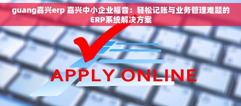 guang嘉兴erp 嘉兴中小企业福音：轻松记账与业务管理难题的ERP系统解决方案