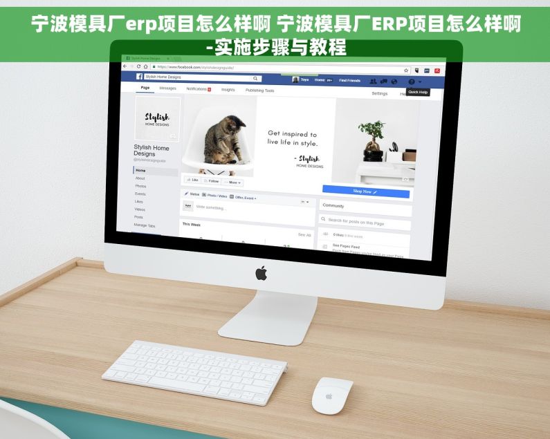 宁波模具厂erp项目怎么样啊 宁波模具厂ERP项目怎么样啊-实施步骤与教程