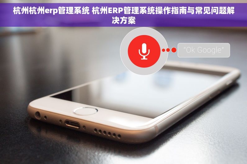 杭州杭州erp管理系统 杭州ERP管理系统操作指南与常见问题解决方案