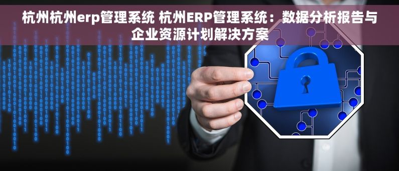 杭州杭州erp管理系统 杭州ERP管理系统：数据分析报告与企业资源计划解决方案