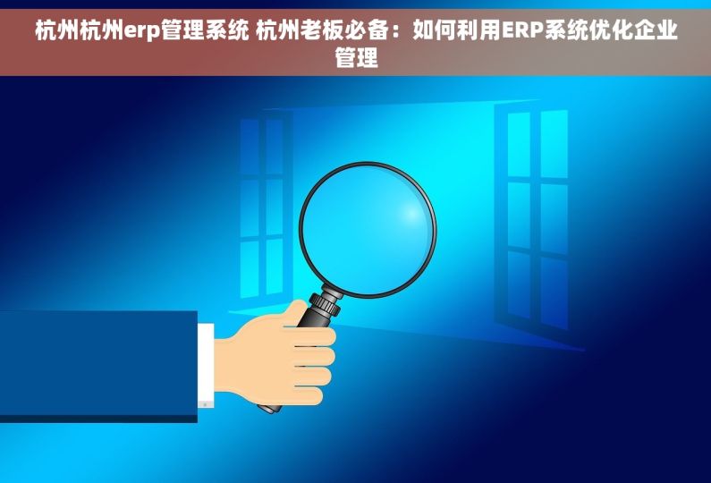 杭州杭州erp管理系统 杭州老板必备：如何利用ERP系统优化企业管理