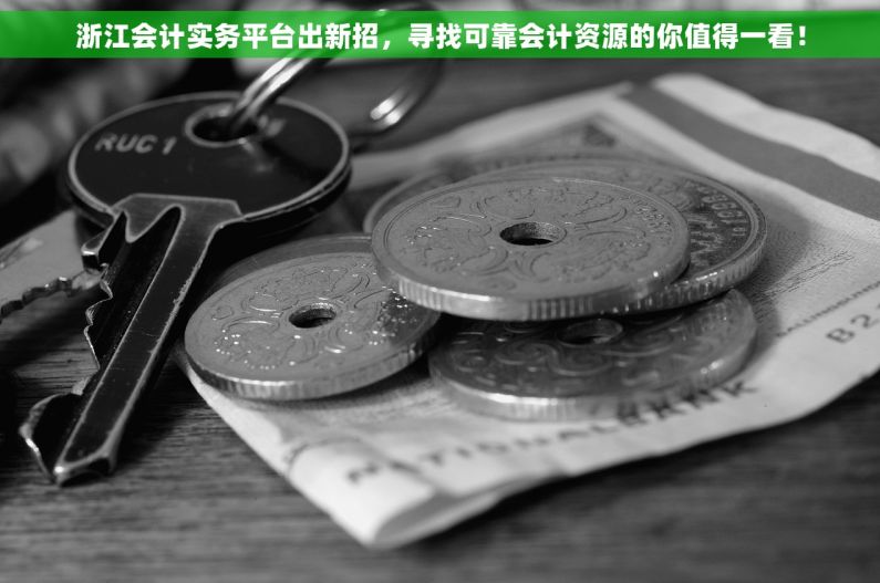 浙江会计实务平台出新招，寻找可靠会计资源的你值得一看！
