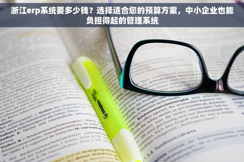 浙江erp系统要多少钱？选择适合您的预算方案，中小企业也能负担得起的管理系统