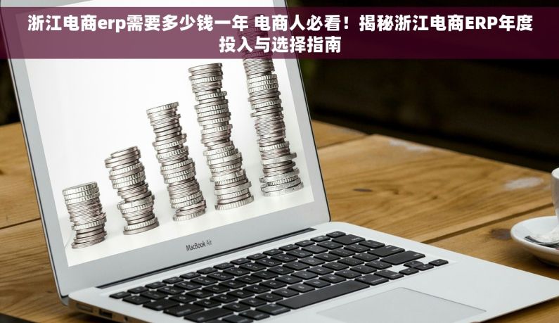 浙江电商erp需要多少钱一年 电商人必看！揭秘浙江电商ERP年度投入与选择指南