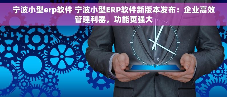 宁波小型erp软件 宁波小型ERP软件新版本发布：企业高效管理利器，功能更强大
