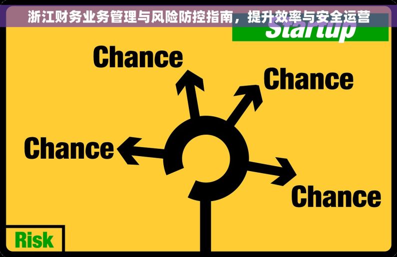浙江财务业务管理与风险防控指南，提升效率与安全运营