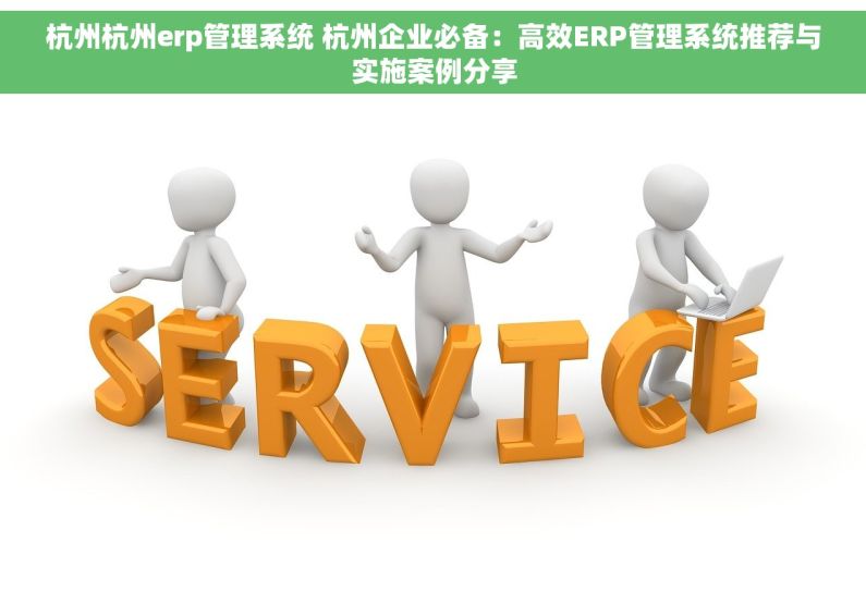 杭州杭州erp管理系统 杭州企业必备：高效ERP管理系统推荐与实施案例分享