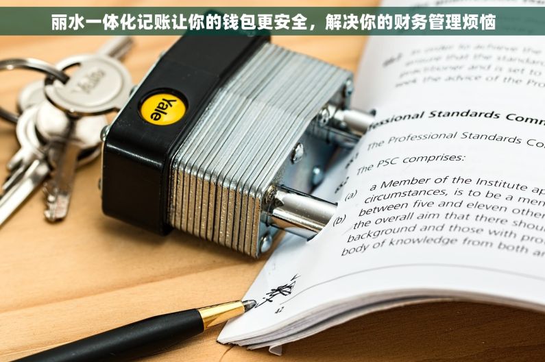 丽水一体化记账让你的钱包更安全，解决你的财务管理烦恼