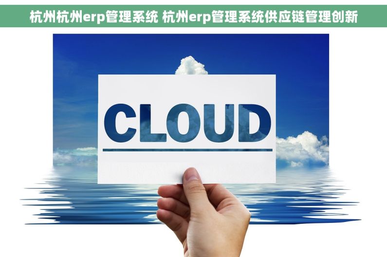 杭州杭州erp管理系统 杭州erp管理系统供应链管理创新