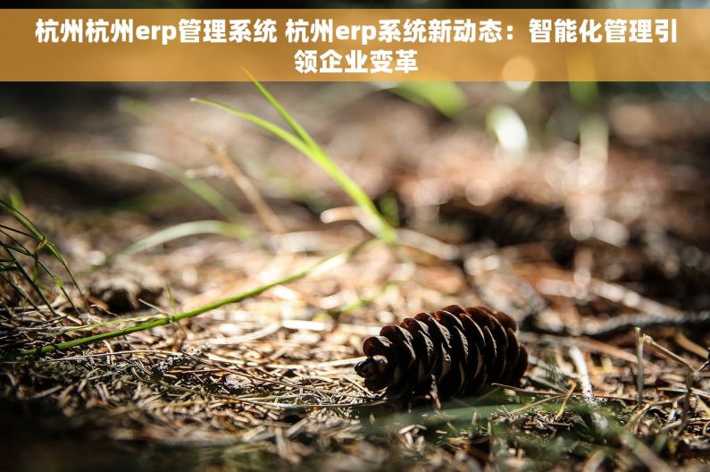 杭州杭州erp管理系统 杭州erp系统新动态：智能化管理引领企业变革