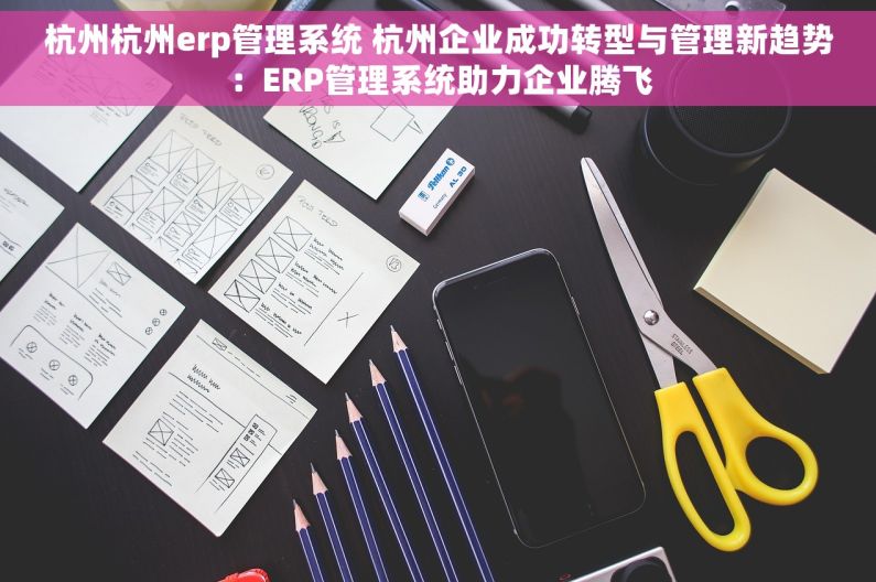 杭州杭州erp管理系统 杭州企业成功转型与管理新趋势：ERP管理系统助力企业腾飞