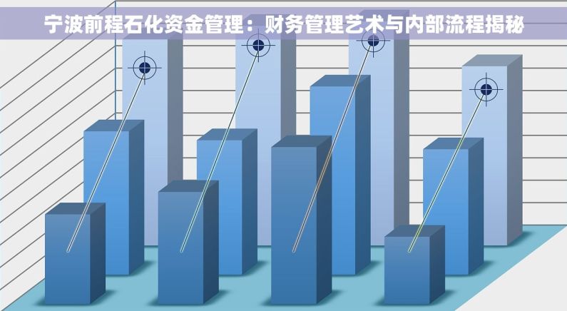 宁波前程石化资金管理：财务管理艺术与内部流程揭秘