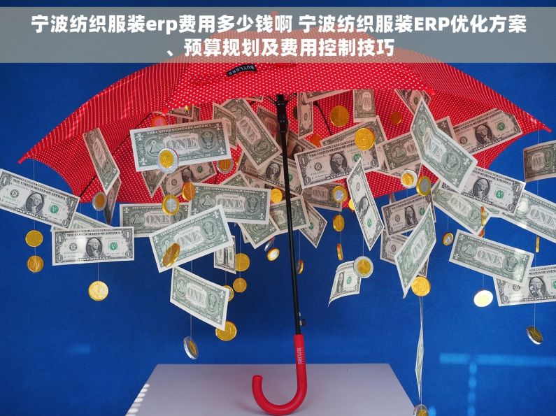 宁波纺织服装erp费用多少钱啊 宁波纺织服装ERP优化方案、预算规划及费用控制技巧