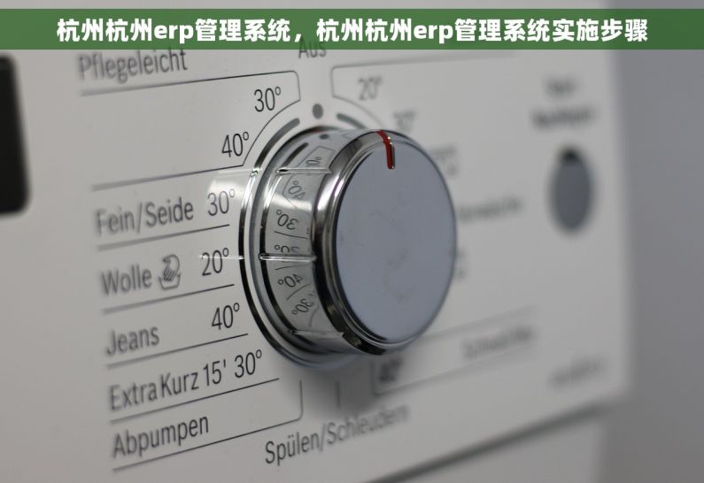 杭州杭州erp管理系统，杭州杭州erp管理系统实施步骤