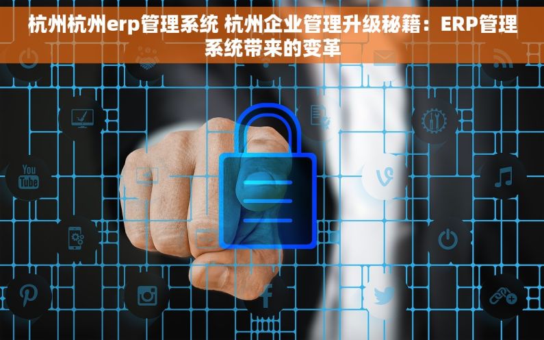 杭州杭州erp管理系统 杭州企业管理升级秘籍：ERP管理系统带来的变革