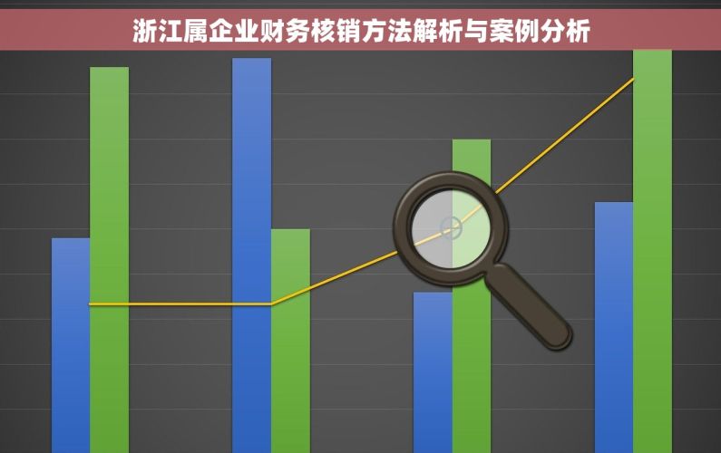 浙江属企业财务核销方法解析与案例分析