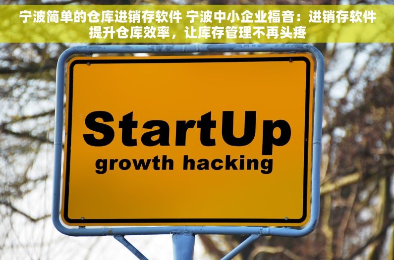 宁波简单的仓库进销存软件 宁波中小企业福音：进销存软件提升仓库效率，让库存管理不再头疼